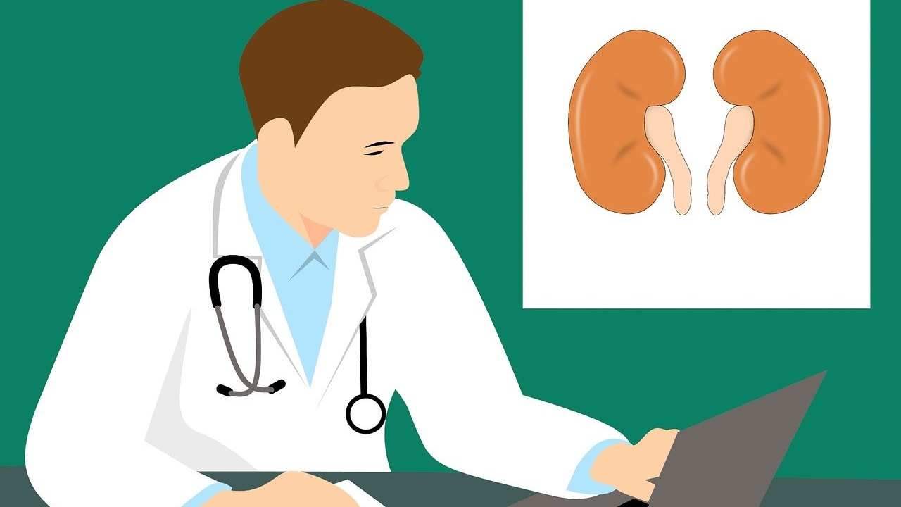 como daña la creatinina