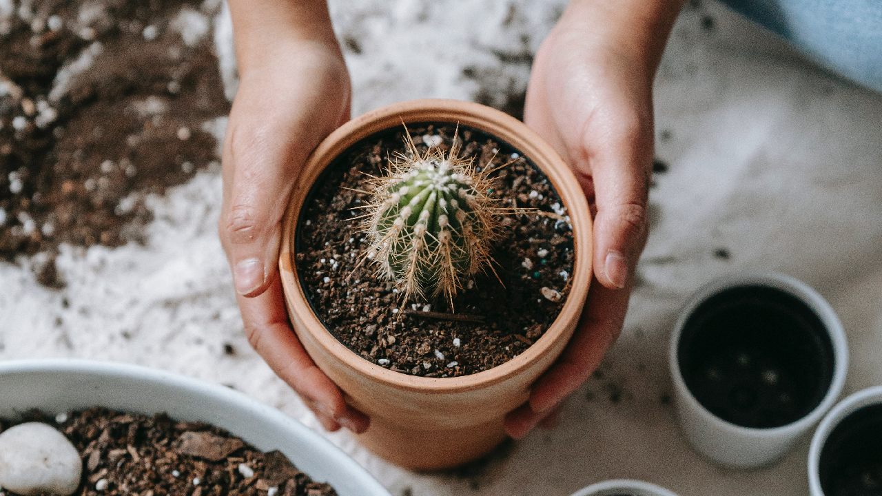 como alejar envidias en trabajo