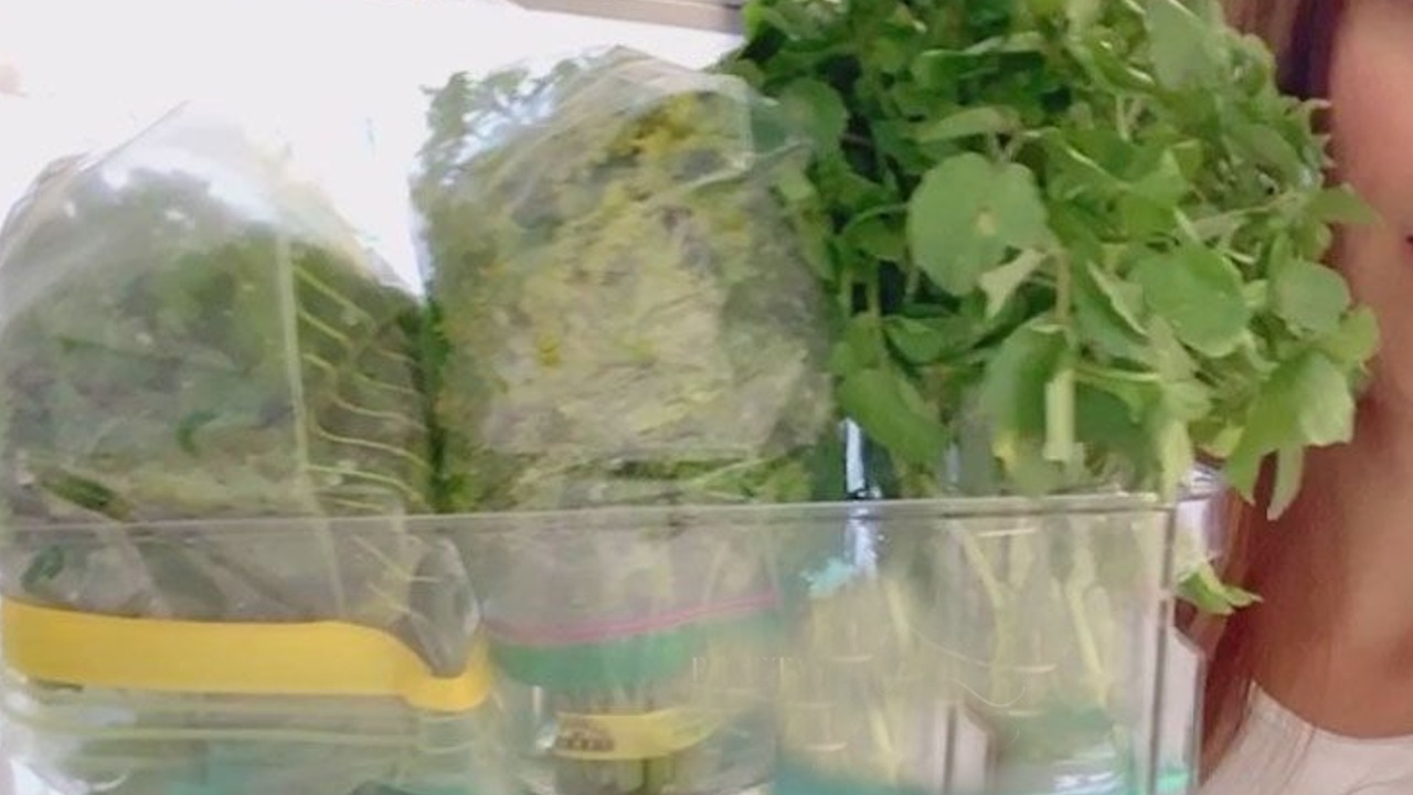 como conservar las hierbas frescas