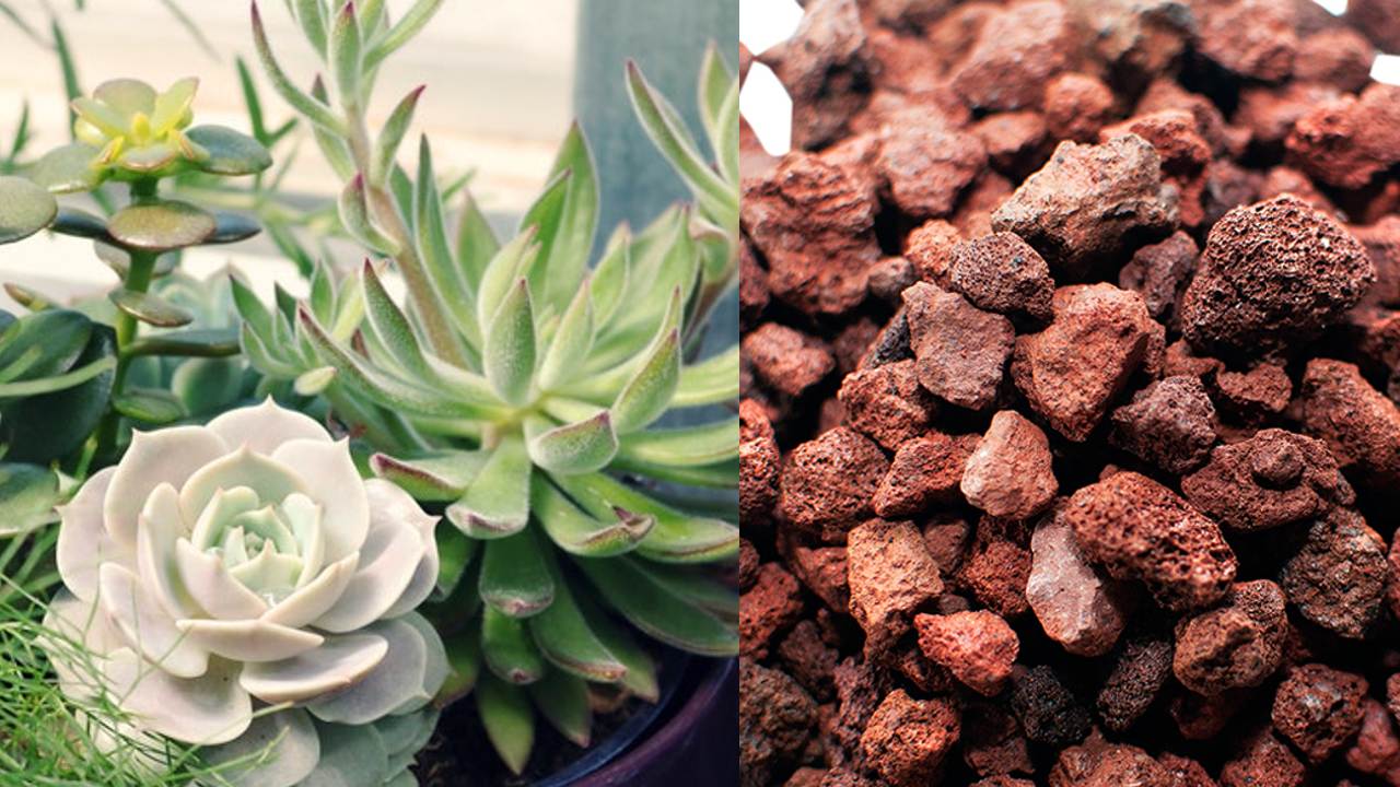 tezontle rojo como sustrato