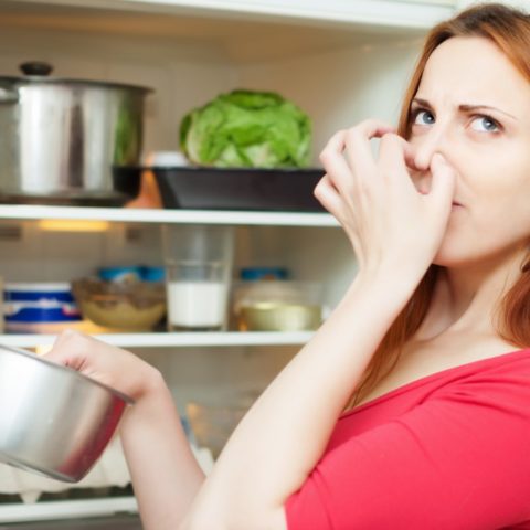 cuánto tiempo guardar comida en el refrigerador