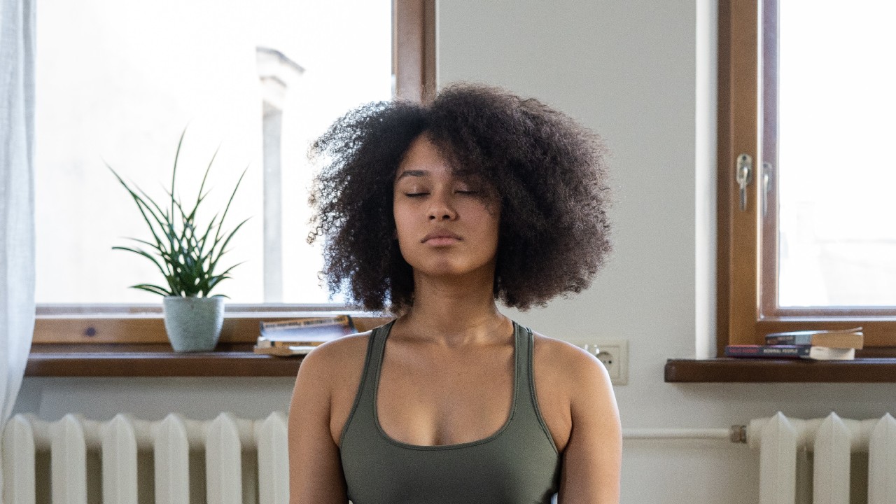 abrazo de la mariposa