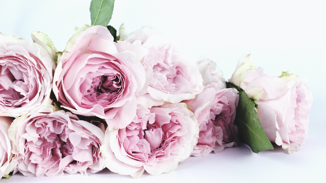 ritual de amor en san valentin