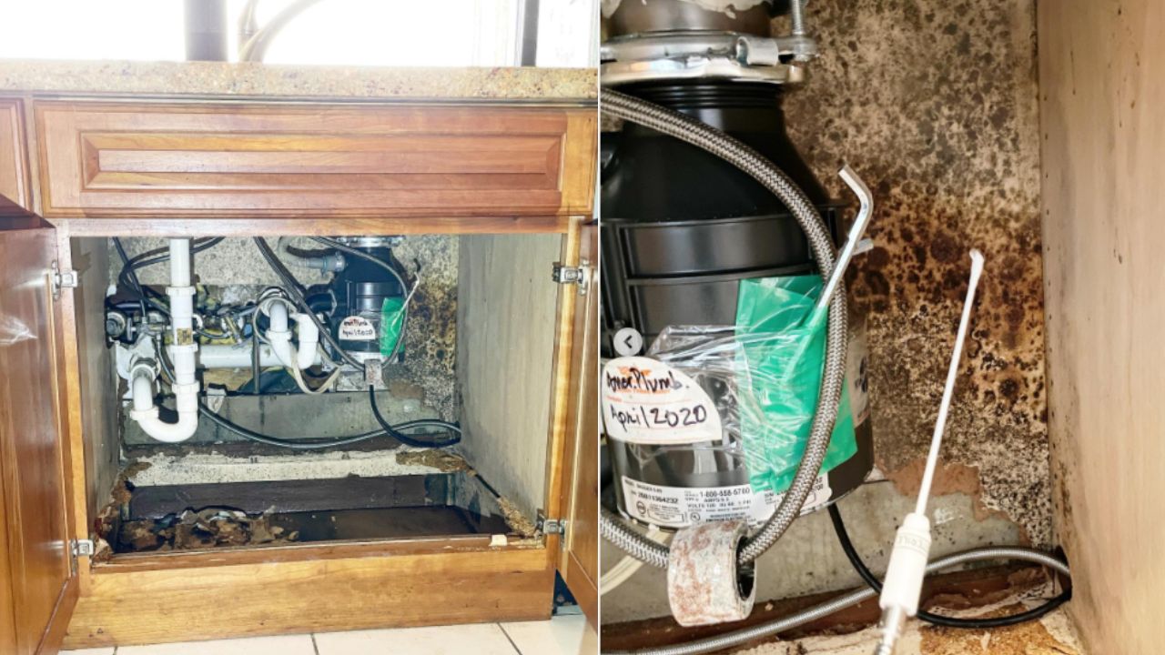 elimina el moho debajo del fregadero