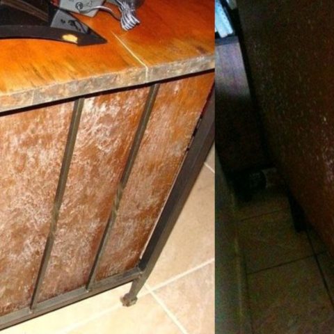 eliminar el moho de los muebles de madera