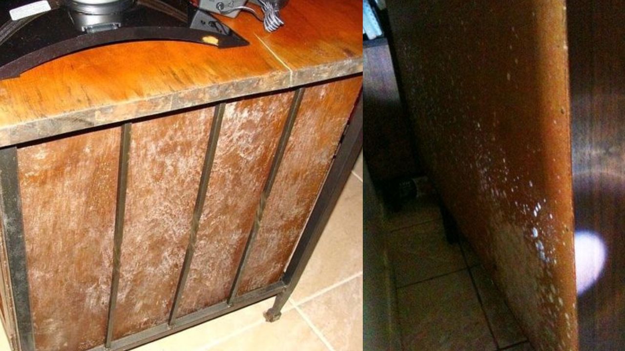 eliminar el moho de los muebles de madera