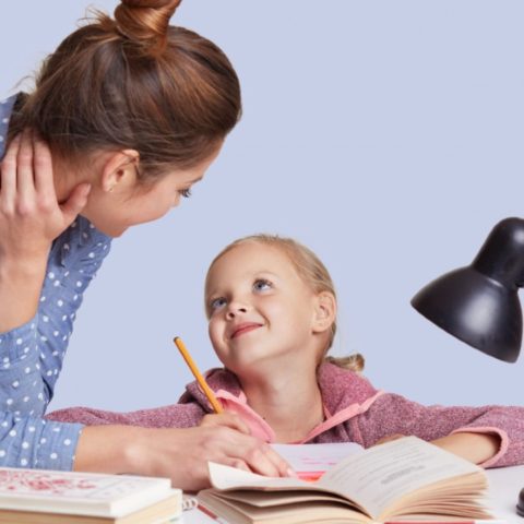 tecnica del sandwich que es y