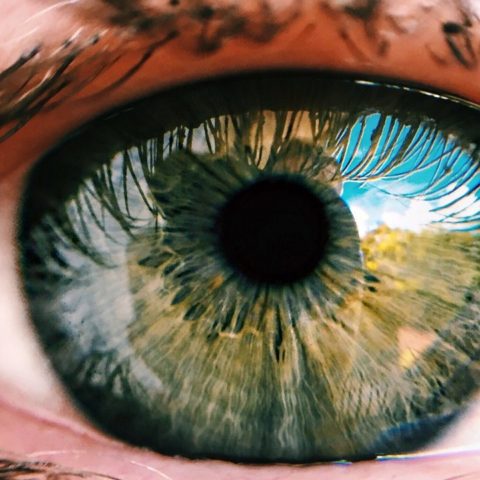 cerebro percibe las imágenes