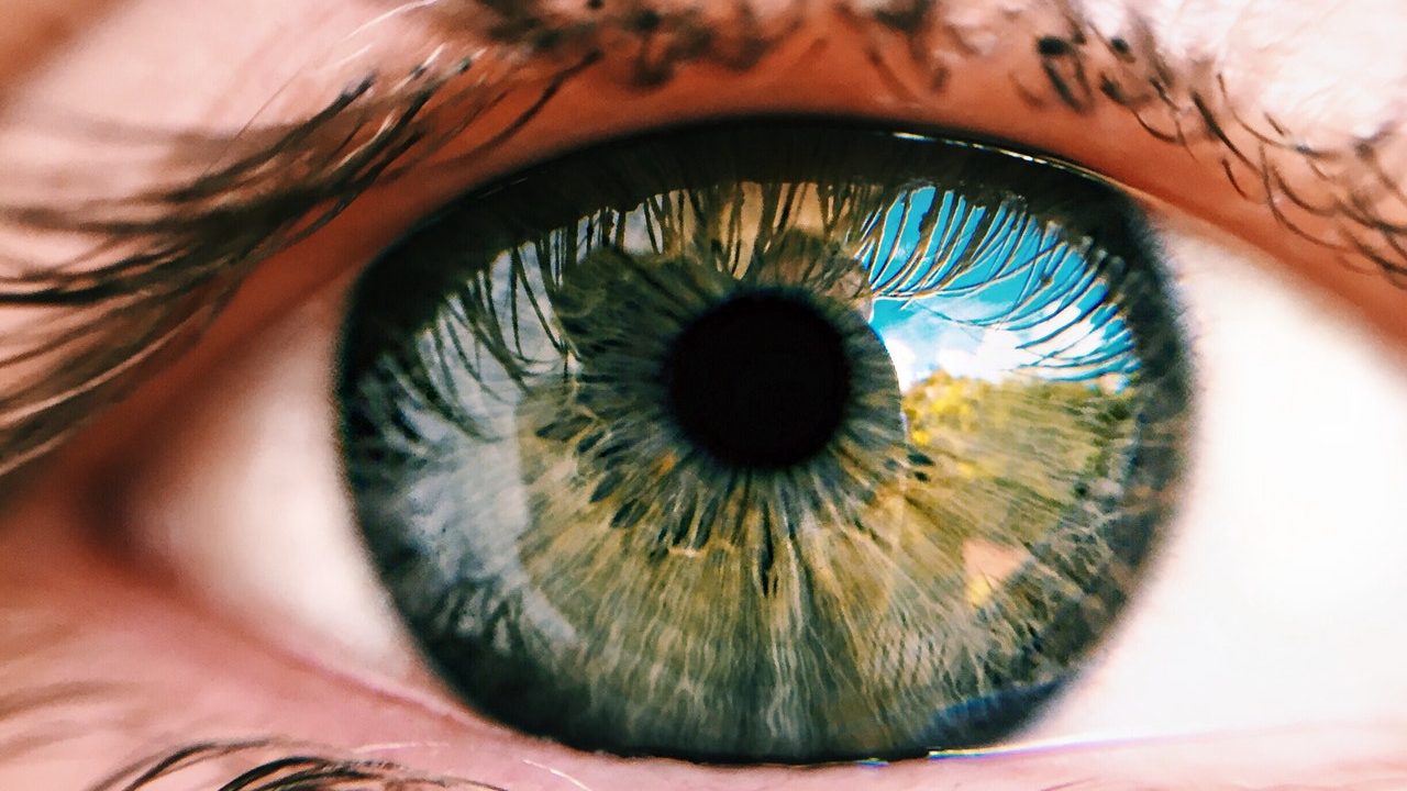 cerebro percibe las imágenes