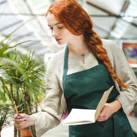 insecticida con planta cola de caballo