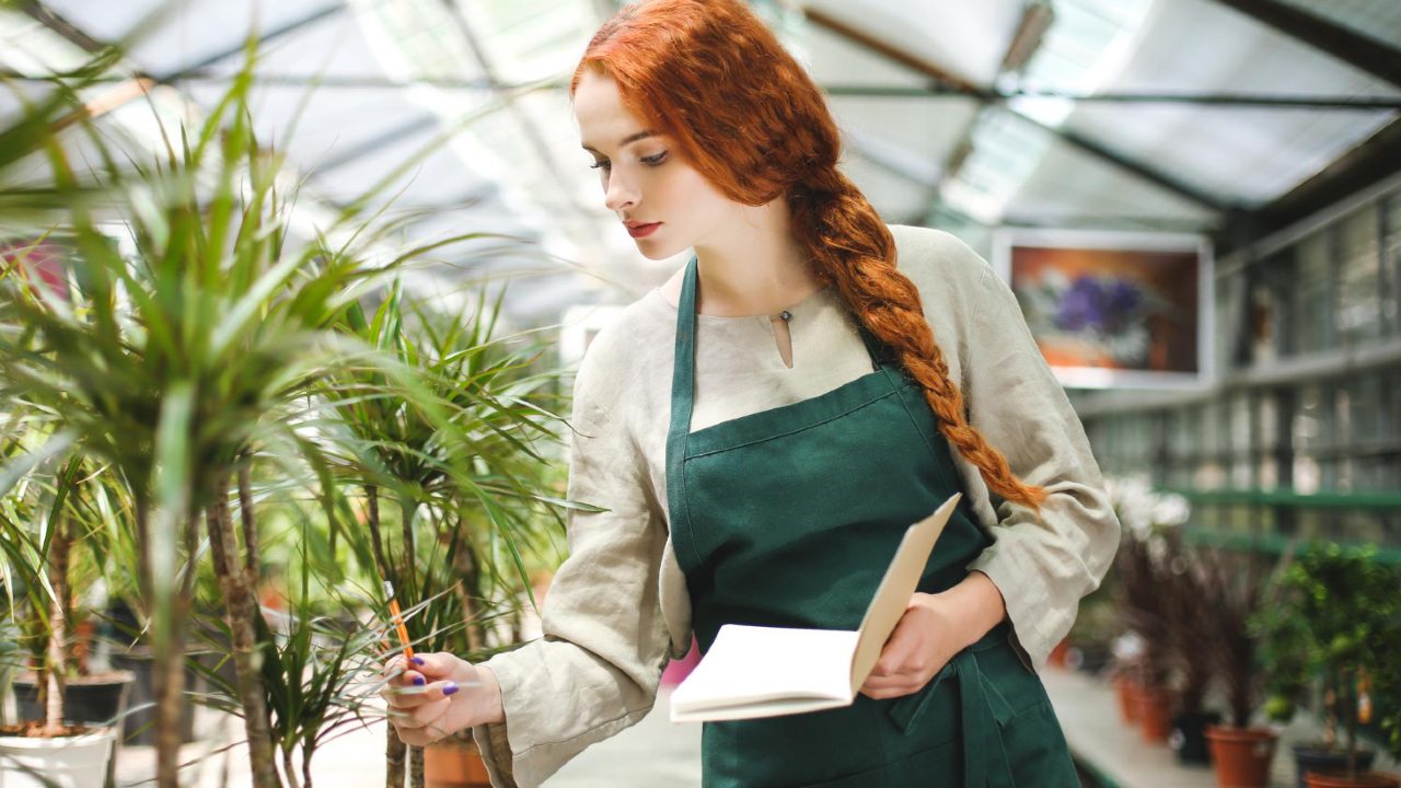 insecticida con planta cola de caballo