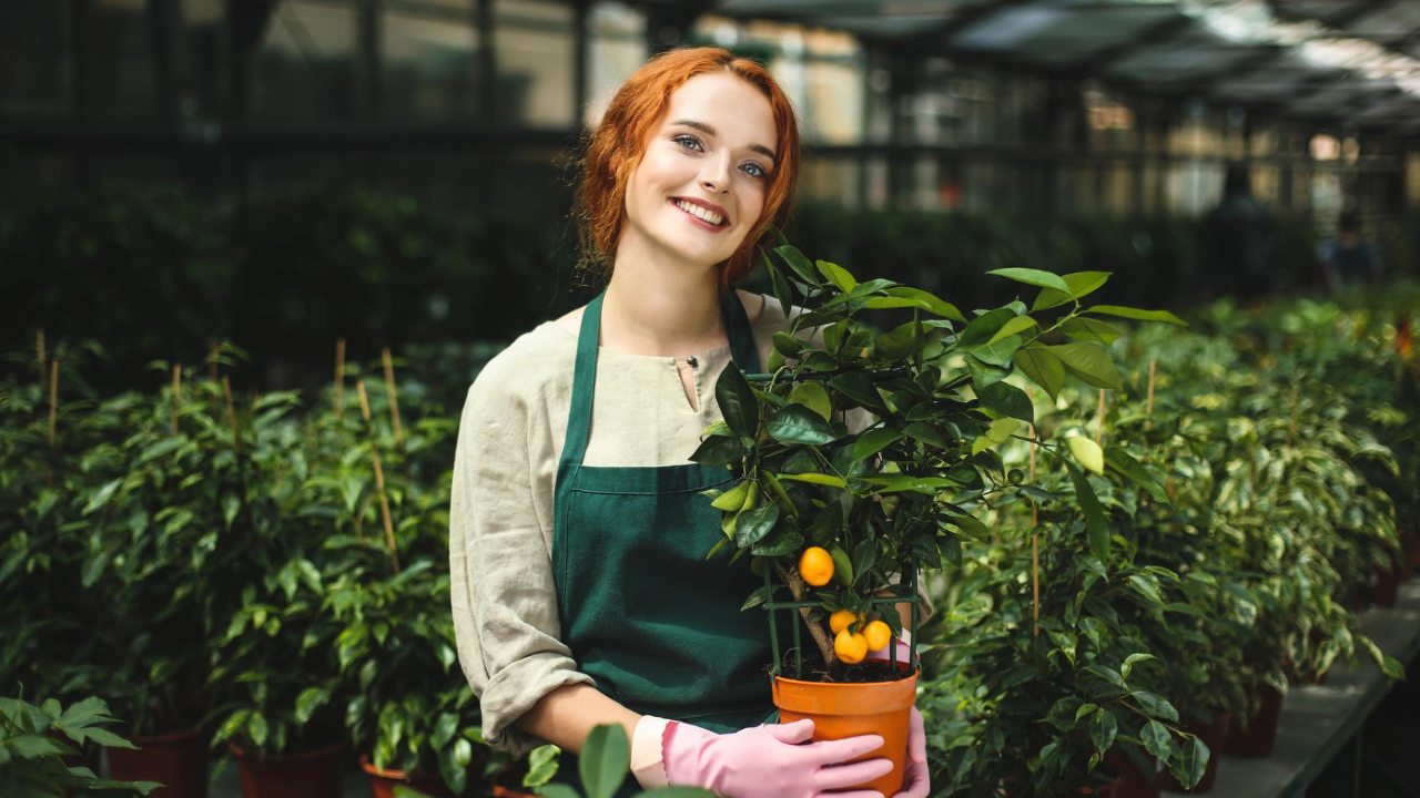 insecticida casero para plantas