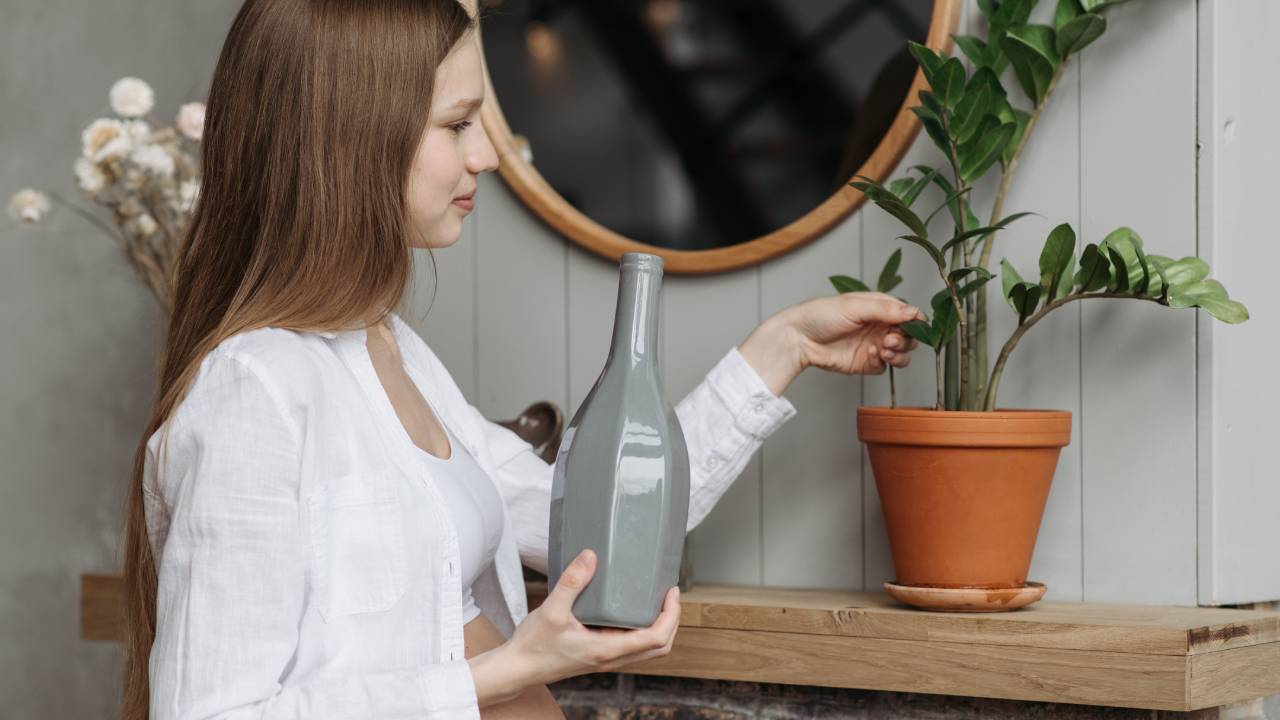 plantas agua vitaminada