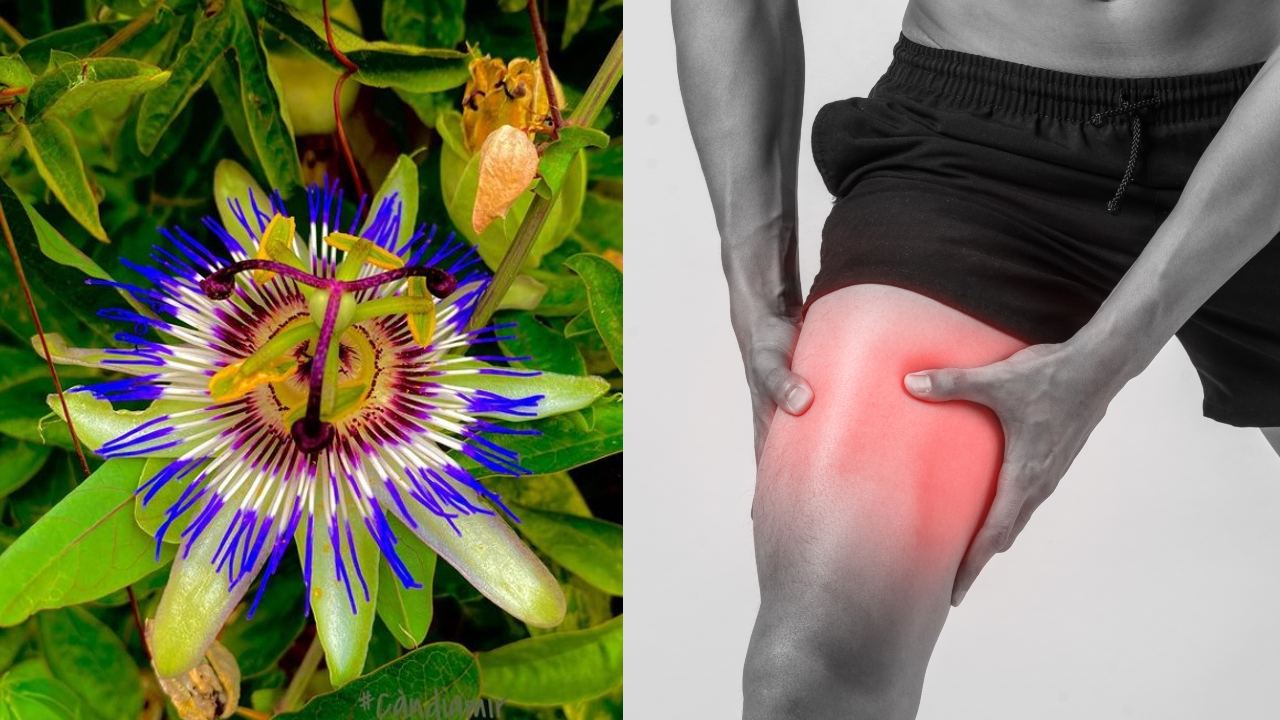 Plantas que te ayudan a eliminar los calambres