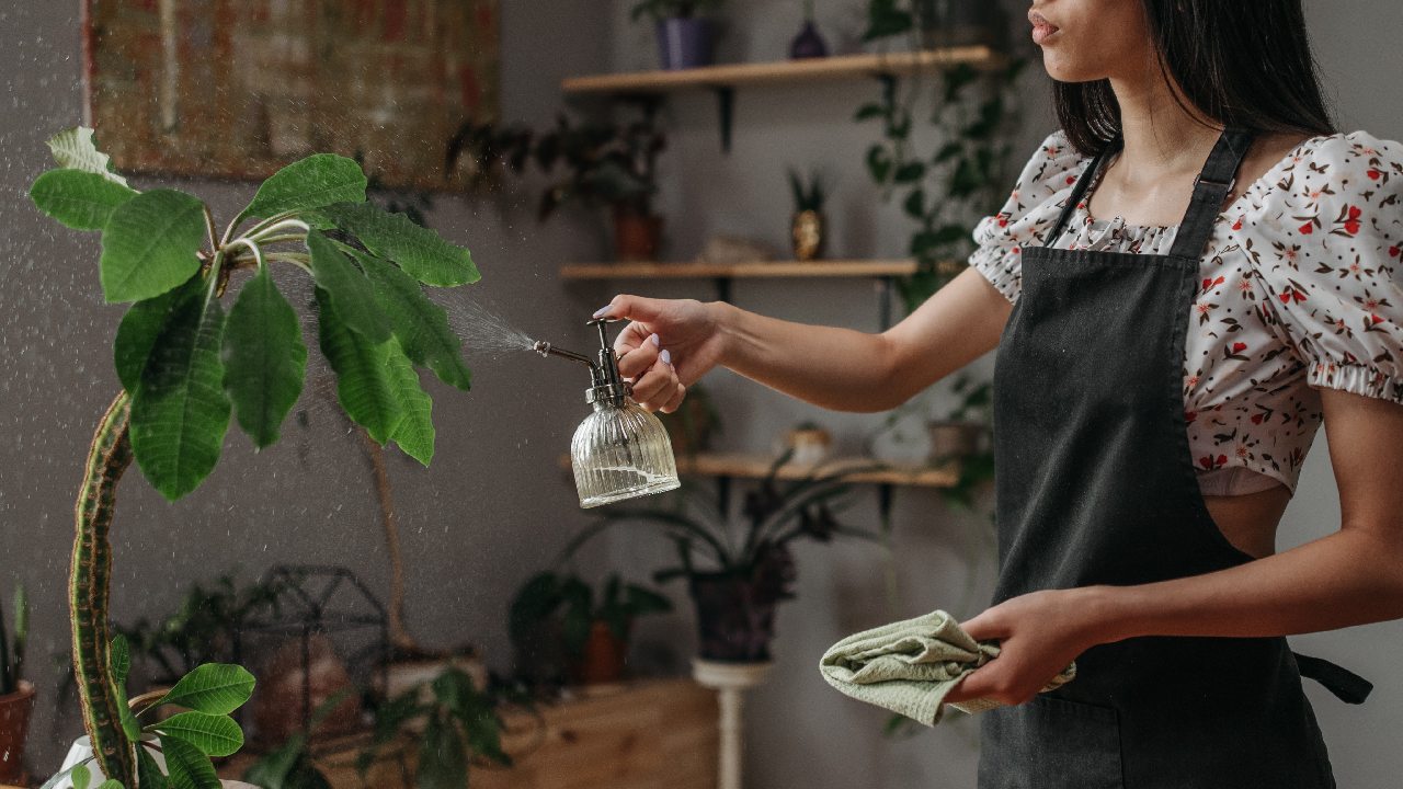 como practicar platfulness