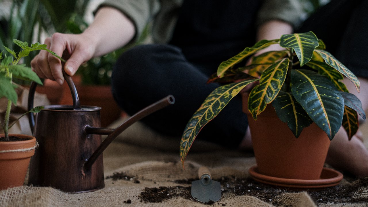 jardineria como terapia