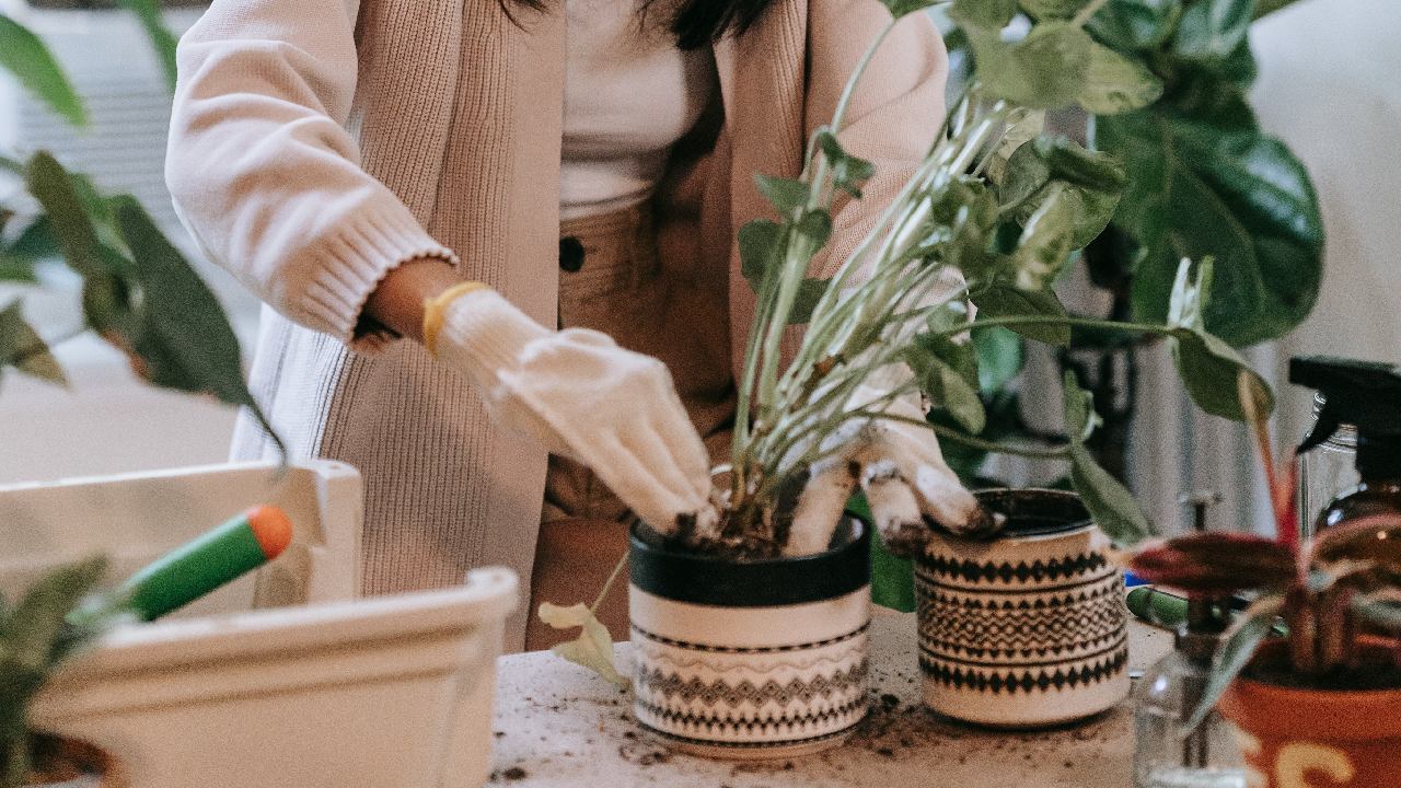 como hacer platfulness