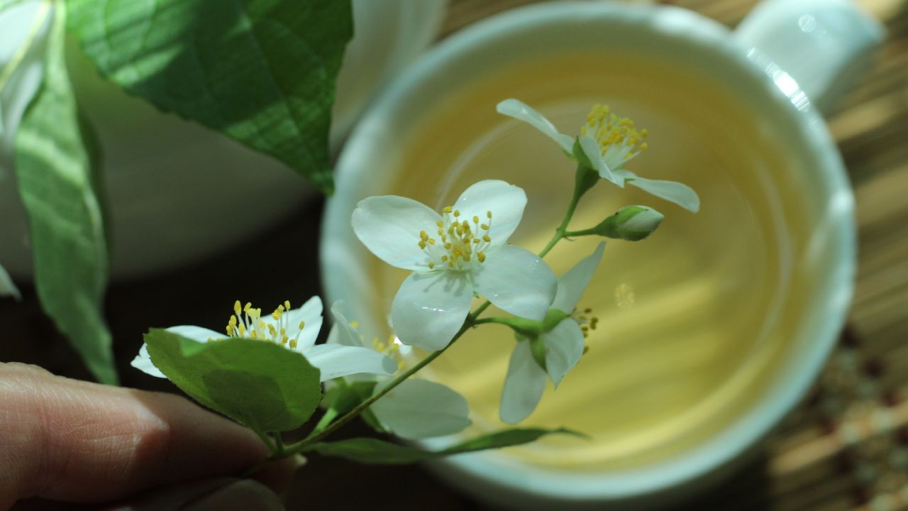 té de jazmín beneficios para la salud