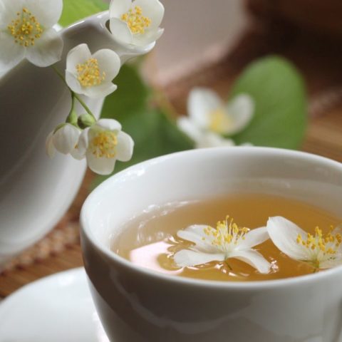 té de jazmín beneficios para tu salud