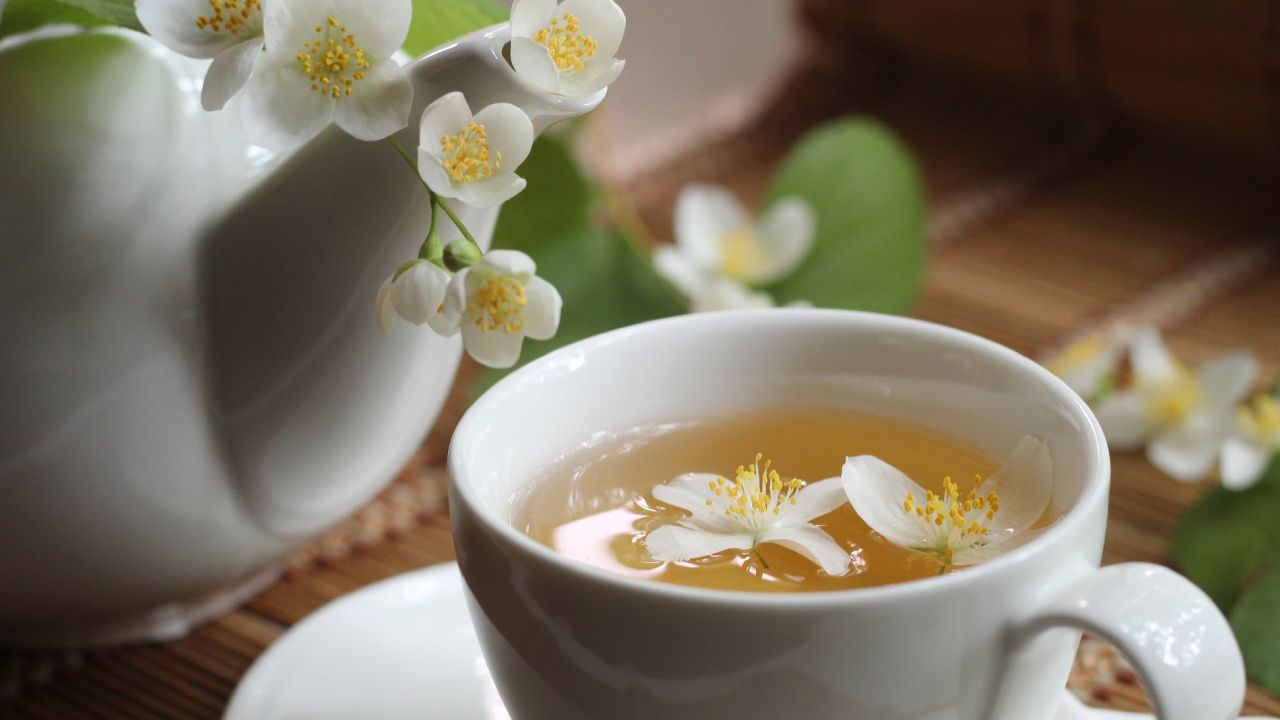 té de jazmín beneficios para tu salud