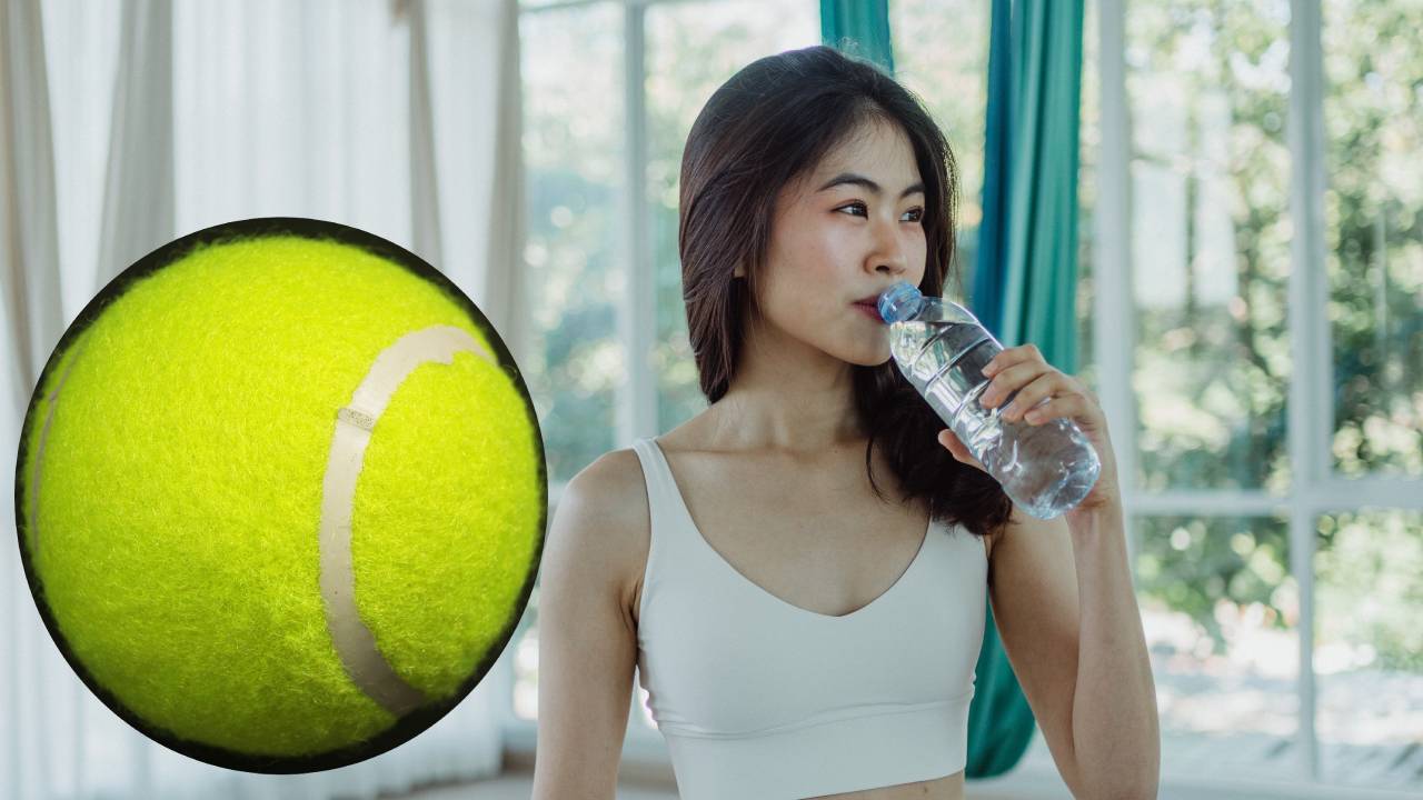 técnica japonesa para adelgazar