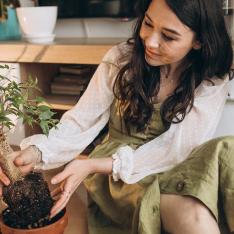 terapia hortícola cómo te beneficia cuidar tus plantas