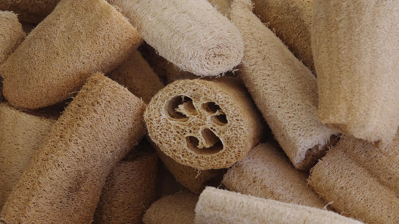 acciones ecologicas en casa