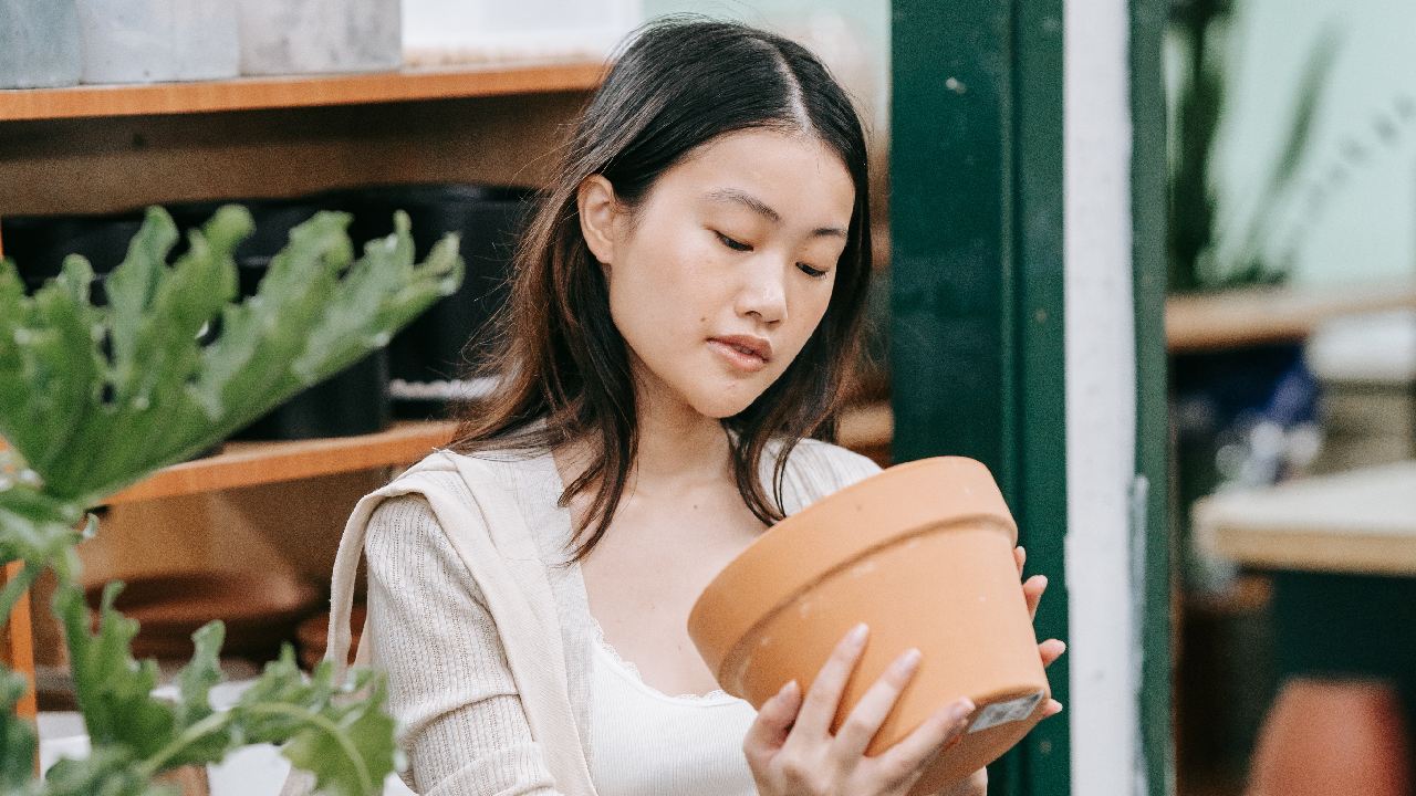 tips para comprar plantas