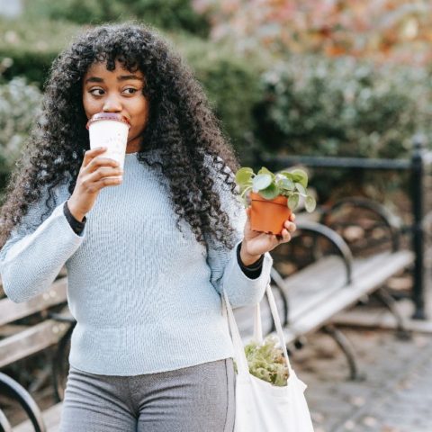 errores comprar plantas