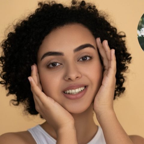 plantas que necesitas para cuidar de belleza