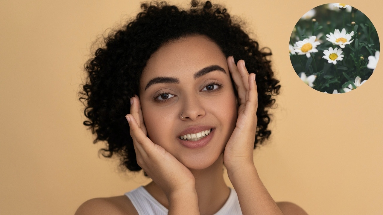 plantas que necesitas para cuidar de belleza