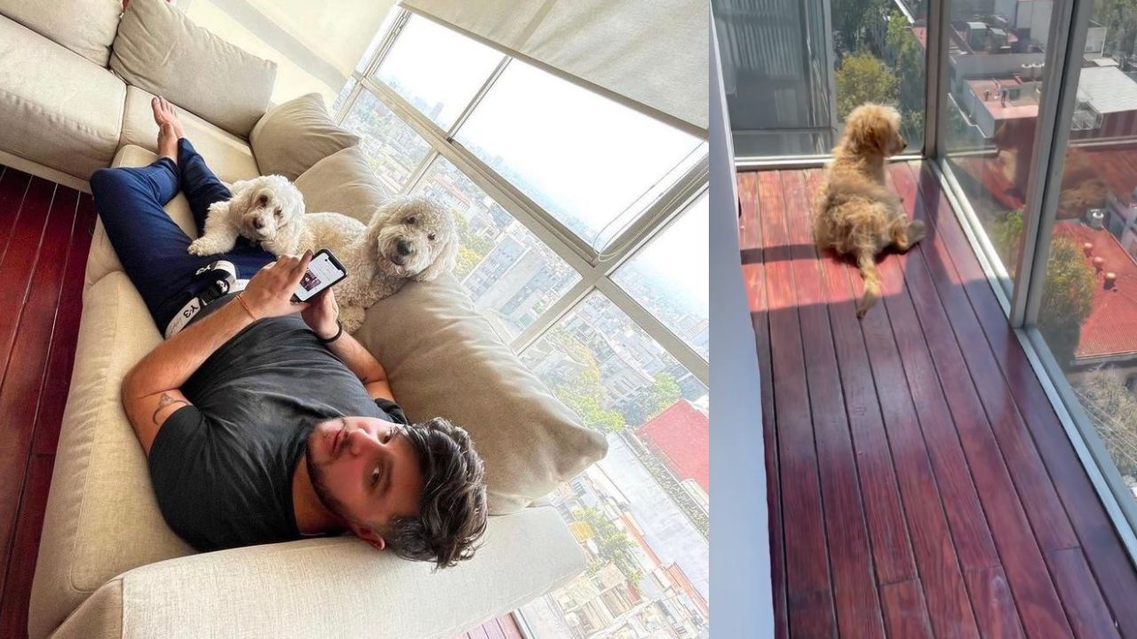 penthouse de paul stanley