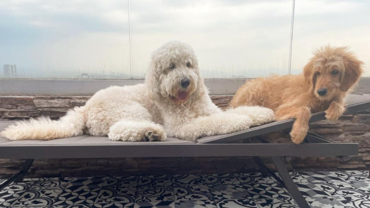 así es el penthuse de Paul Stanley