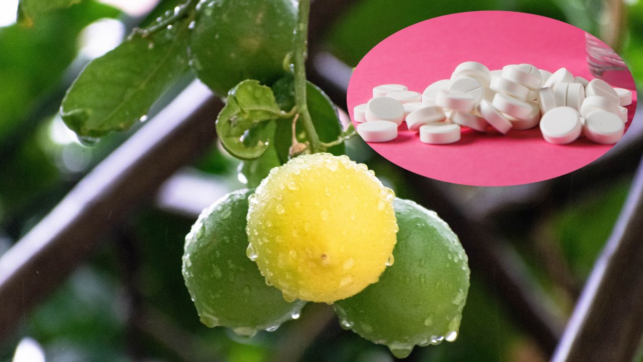 aspirina para que los árboles den frutos jugosos