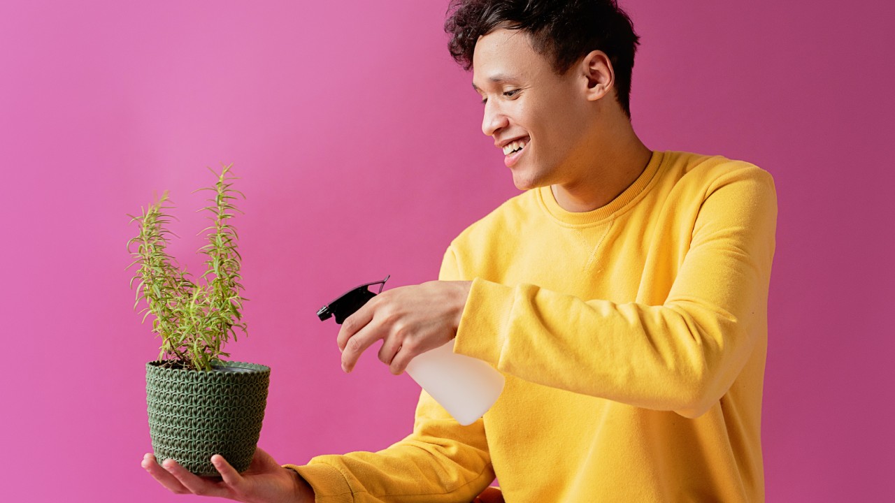 beneficios del jabón para las plantas