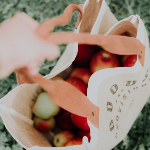 bolsas de mandado reciclando plástico