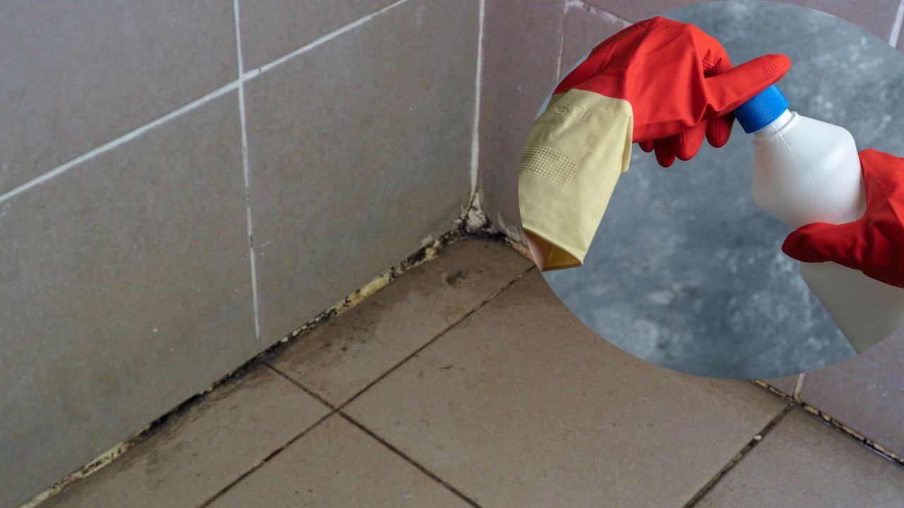 cloro para eliminar el moho y hongos de las juntas del baño