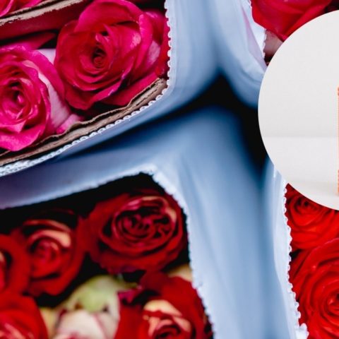 cloro para que flores duren mas