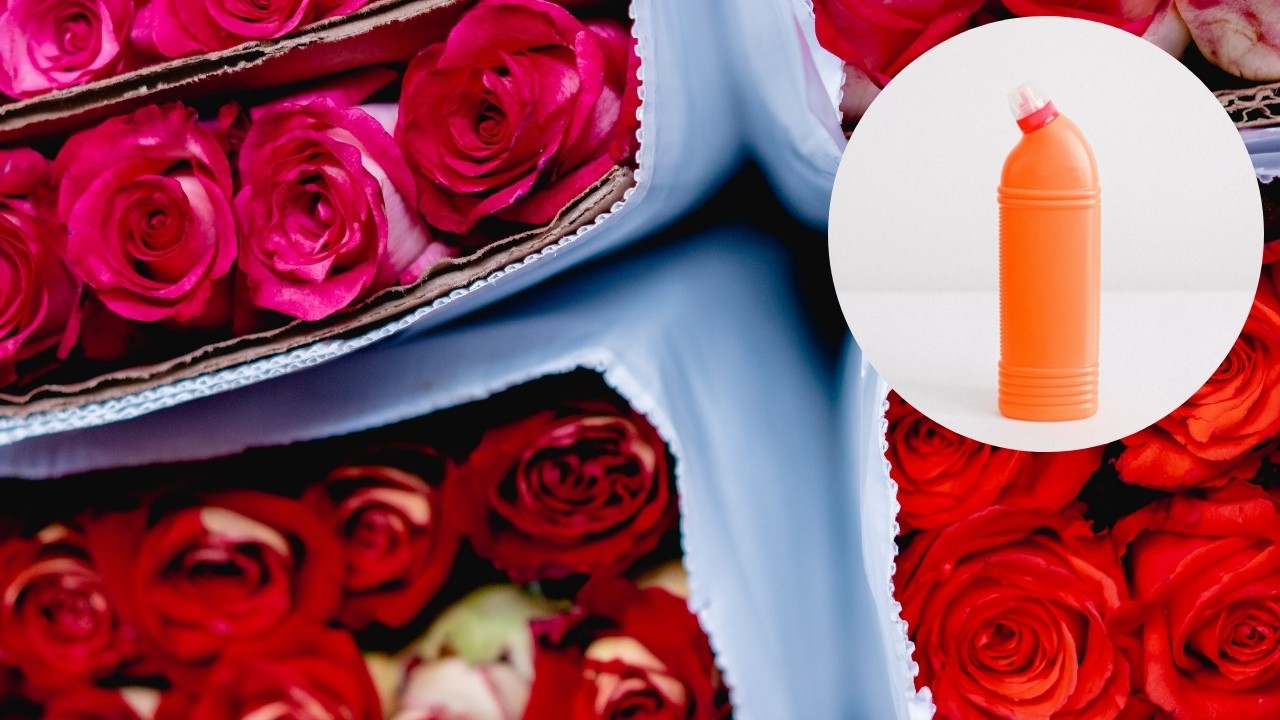 cloro para que flores duren mas