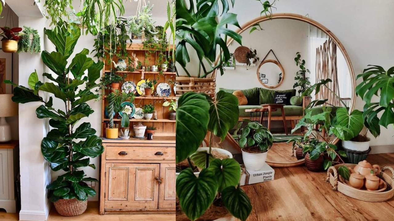 cómo decorar con plantas ideas