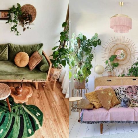 cómo decorar con plantas ideas