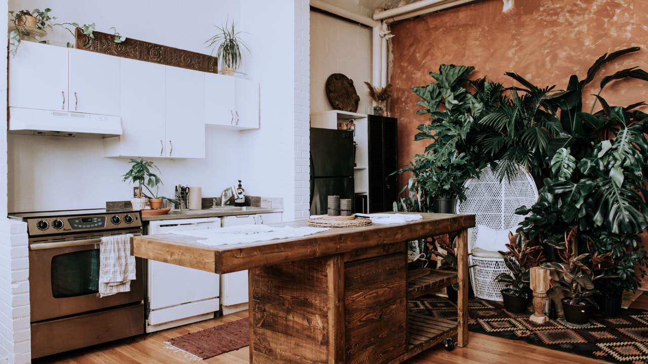 cómo decorar con plantas ideas