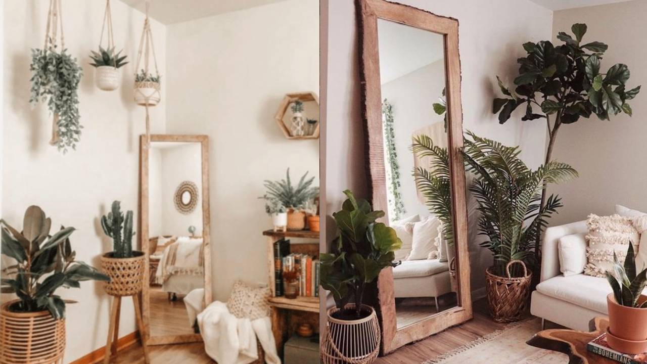 cómo decorar con plantas ideas