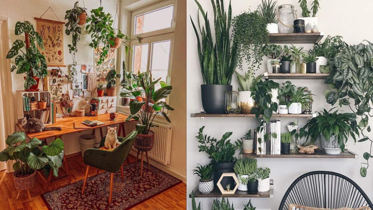 cómo decorar con plantas ideas