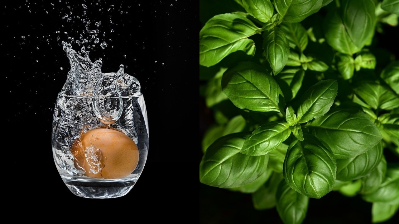 como hacer limpiar energetica