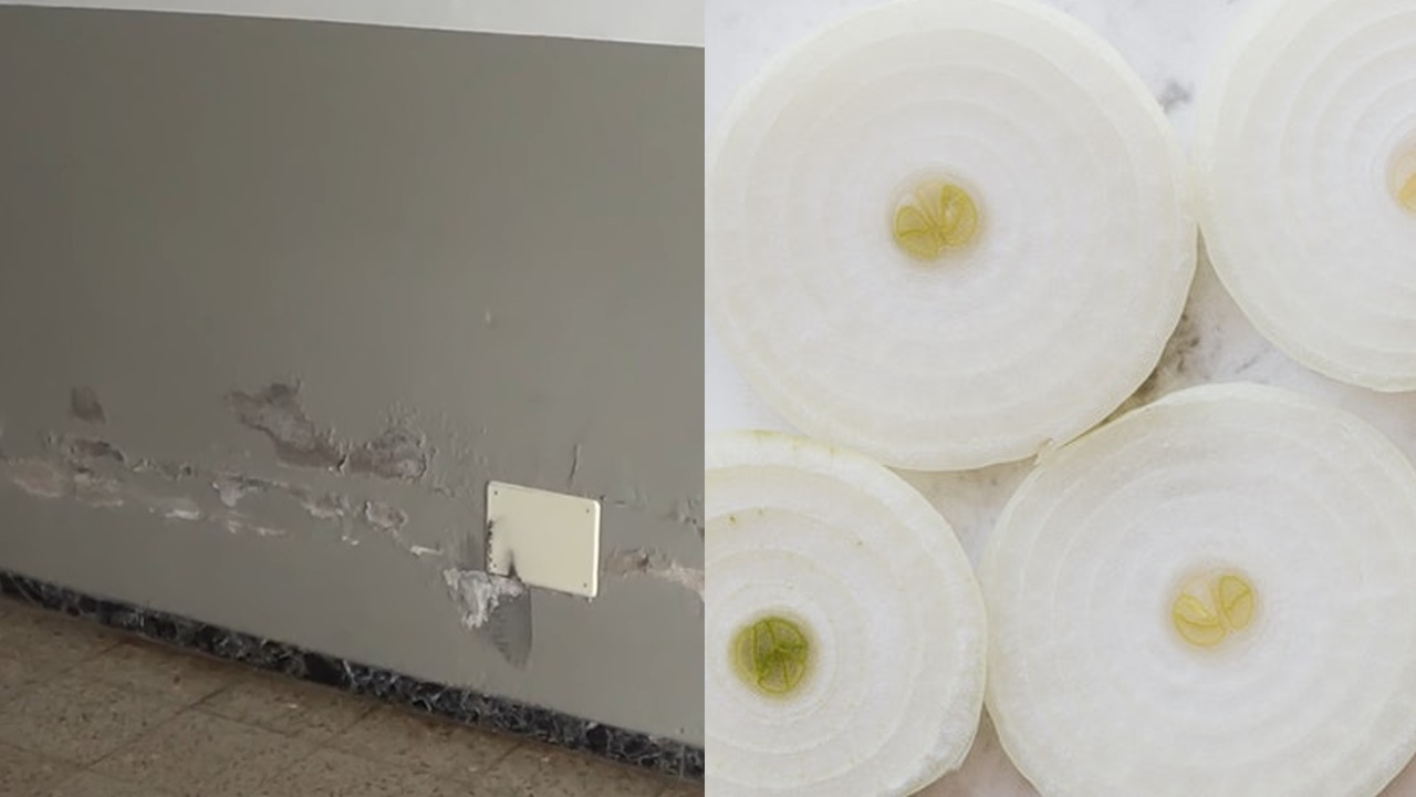 como quitar la humedad de un cuarto