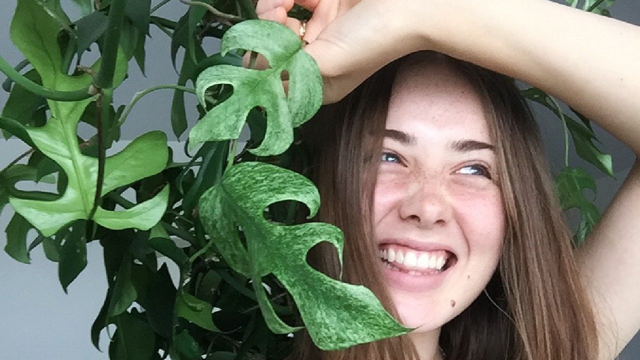 cual es planta mas cara