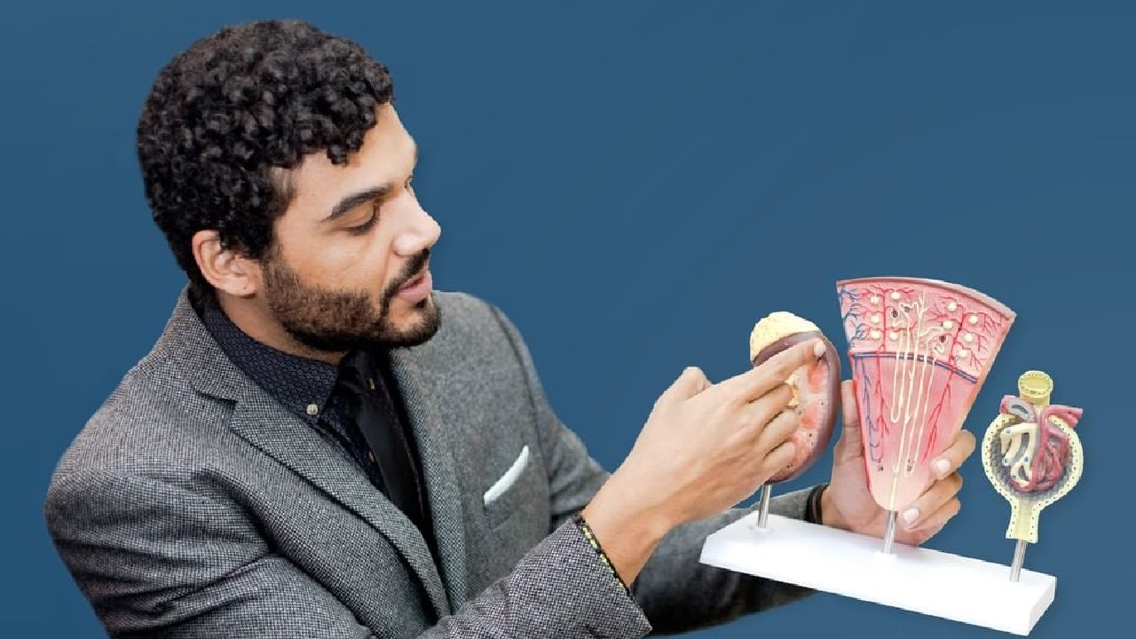 manten tus riñones sanos