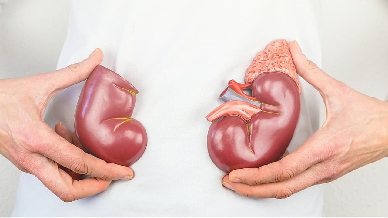 mantener sanos tus riñones