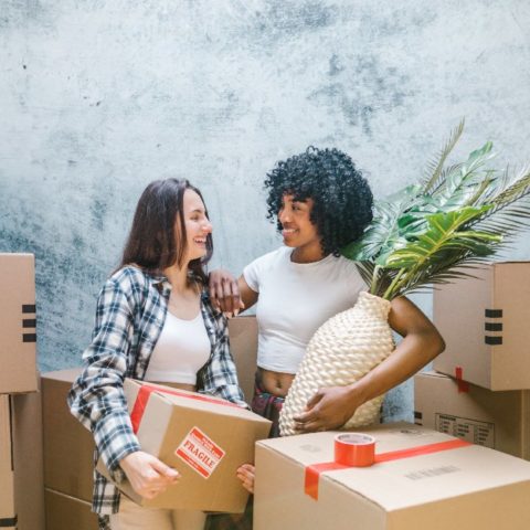 plantas para regalar